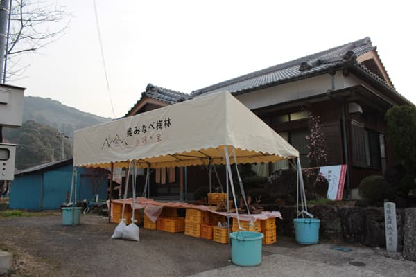奥みなべ梅林 愛領の里様の導入事例